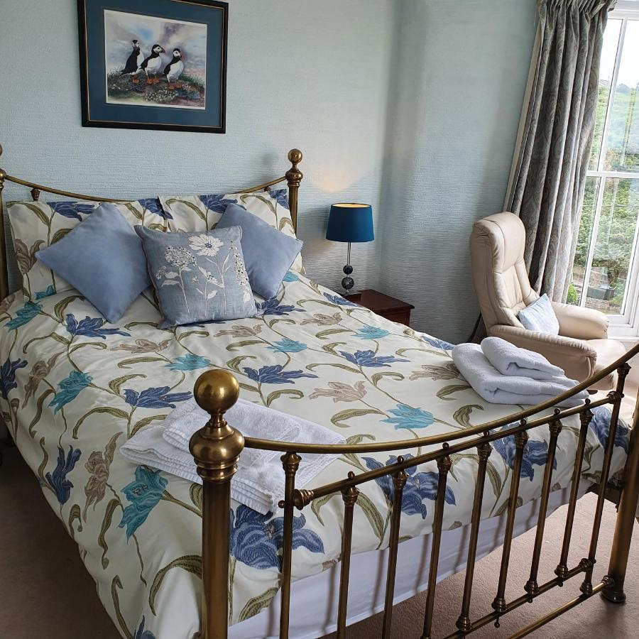 Pendyffryn Manor Bed & Breakfast Little Haven Kültér fotó